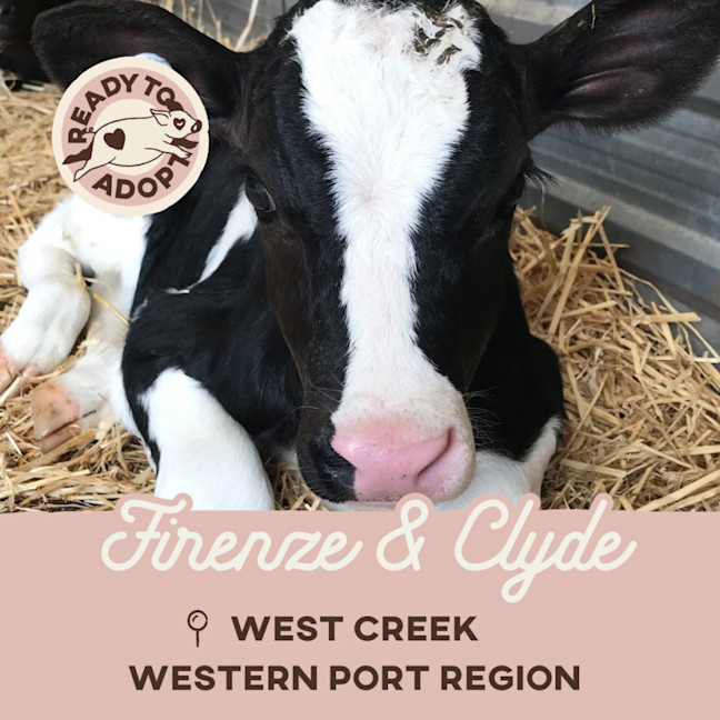 Photo of Firenze & Clyde