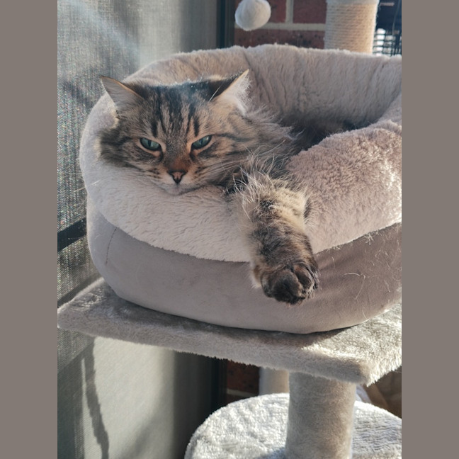 Photo of Jax
