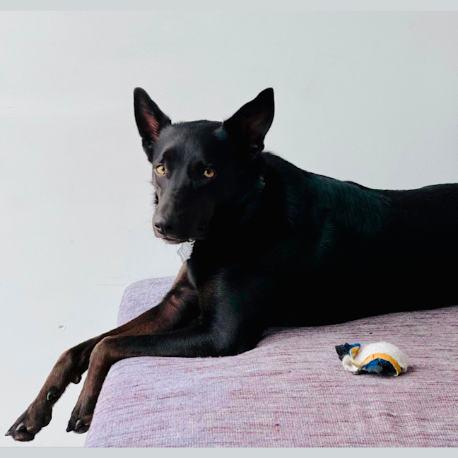 Photo of Ella