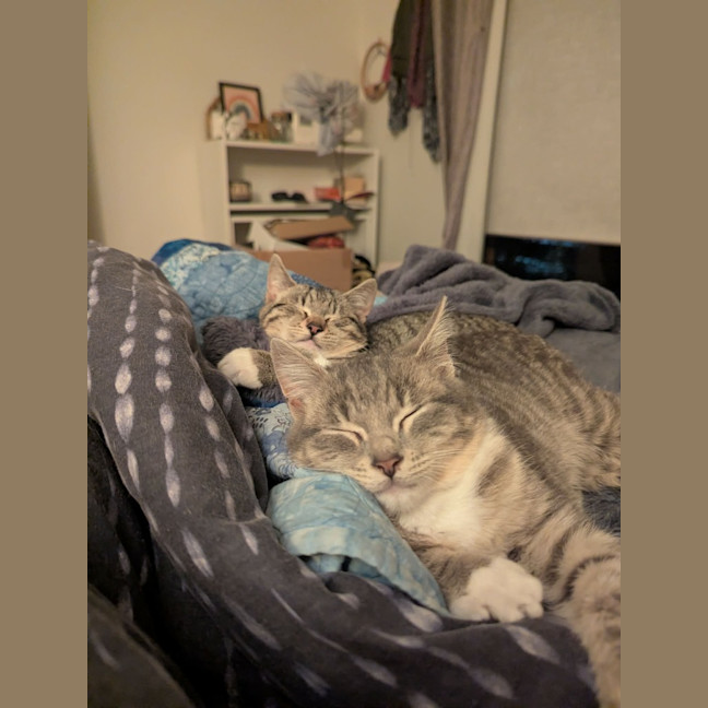 Photo of Artemis