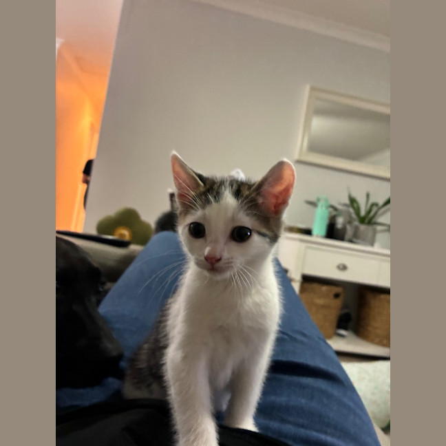 Photo of Lenny