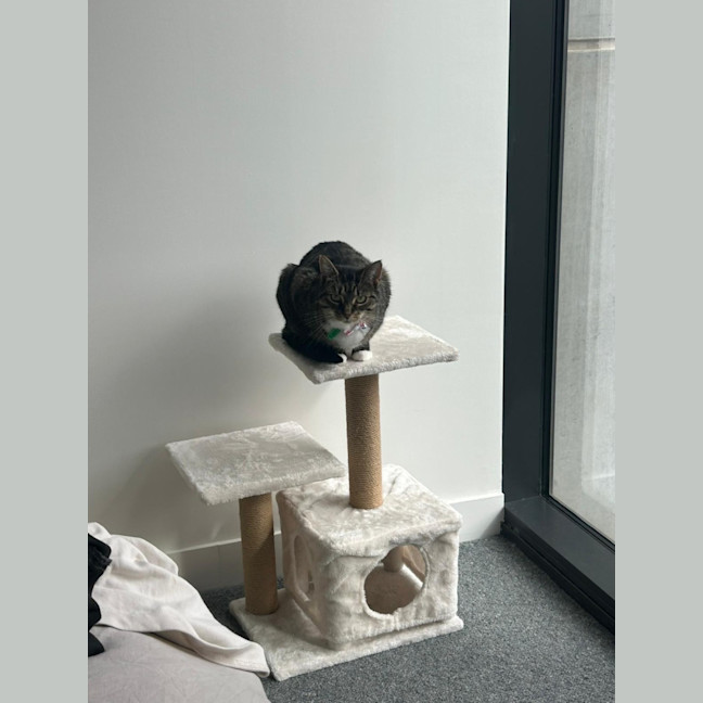 Photo of Nova