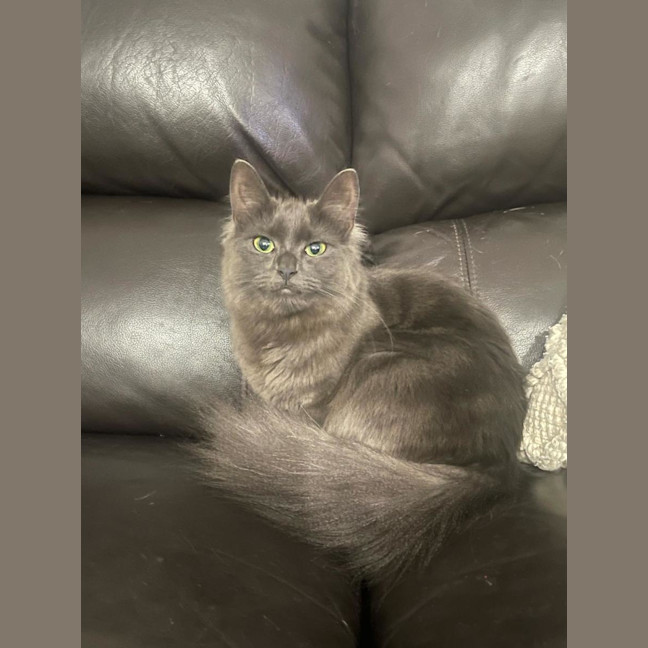 Photo of Hazel