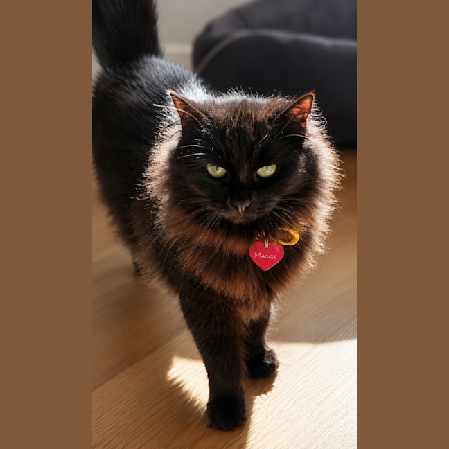 Photo of Maggie