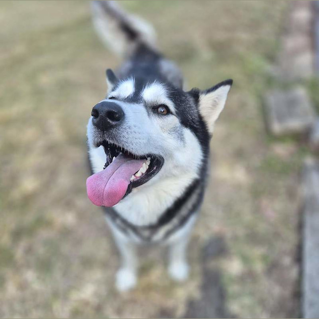 Photo of Hugo