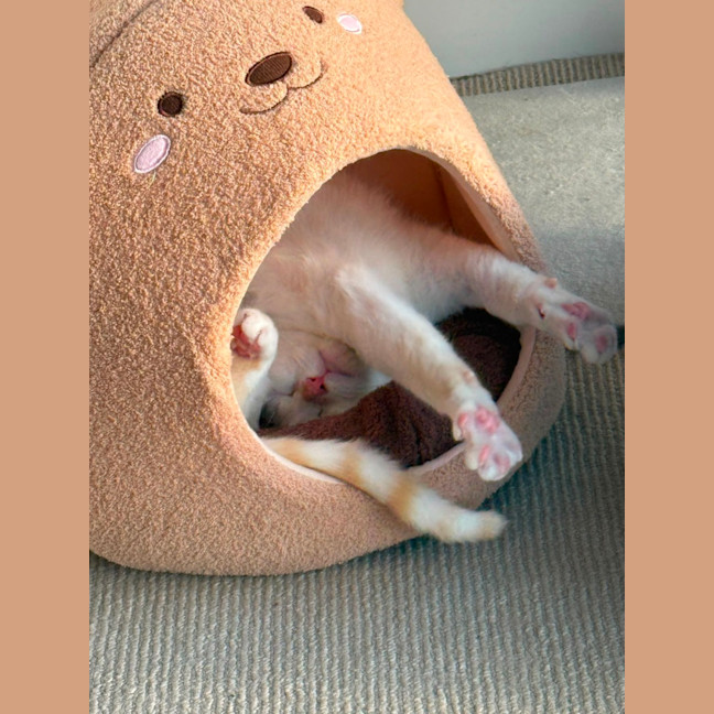 Photo of Flame 