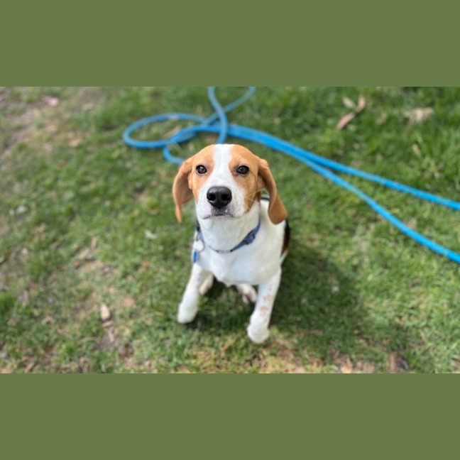 Photo of Bagel