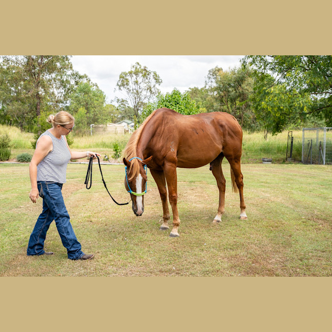 Photo of Big Red