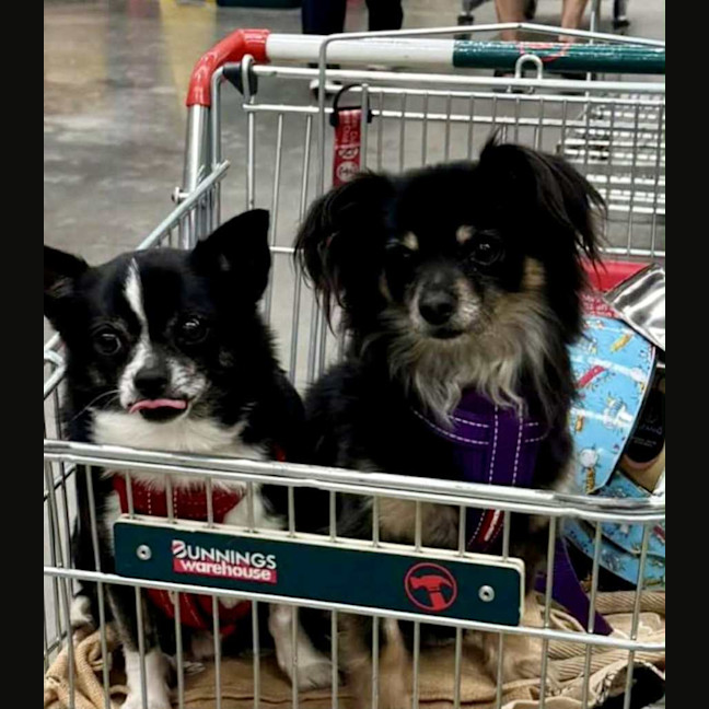 Photo of Cody And Little One