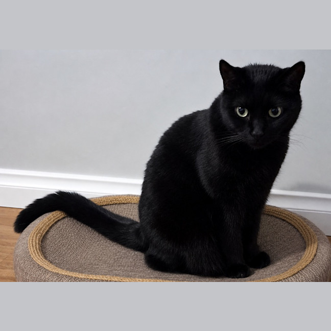 Photo of Charlie