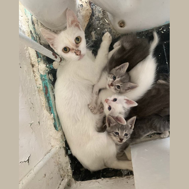 Photo of Rachel & Iggy