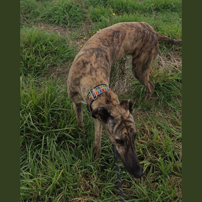 Photo of Hugo