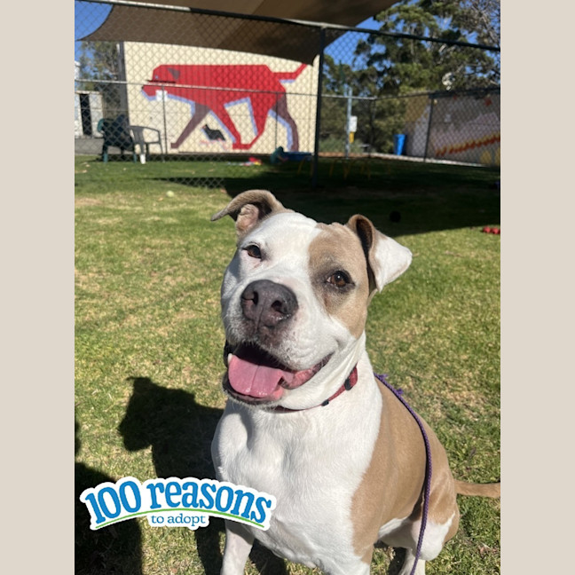 Photo of Mia