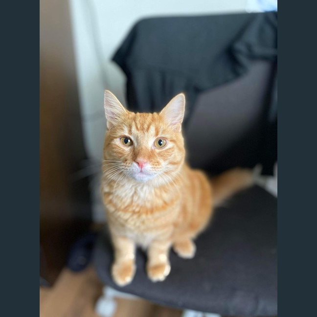 Photo of Ched & Ritz