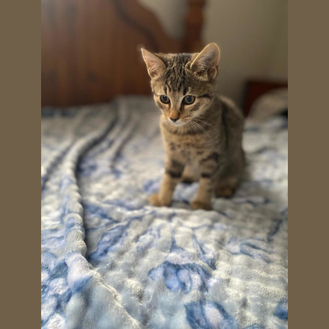 Photo of Ariel