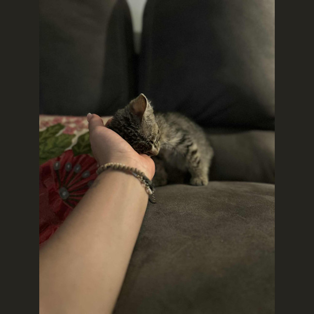 Photo of Lumy