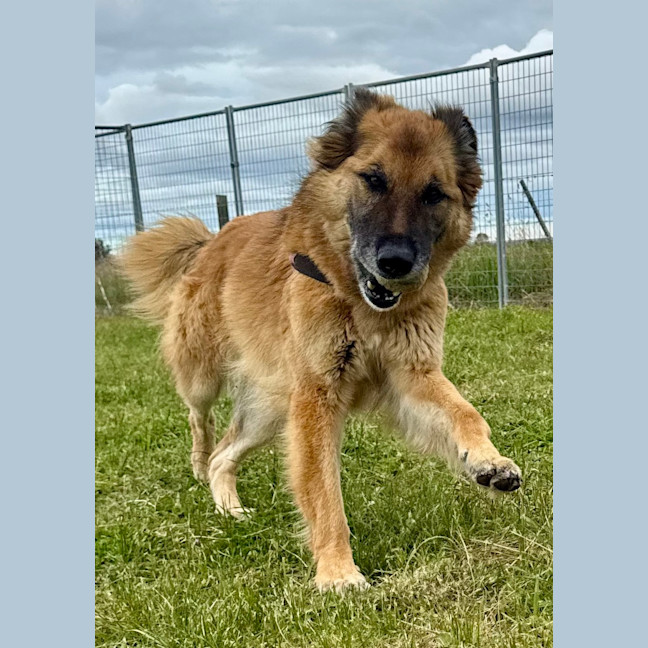 Photo of Bess