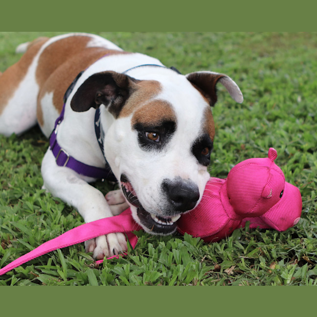 Photo of Maxie