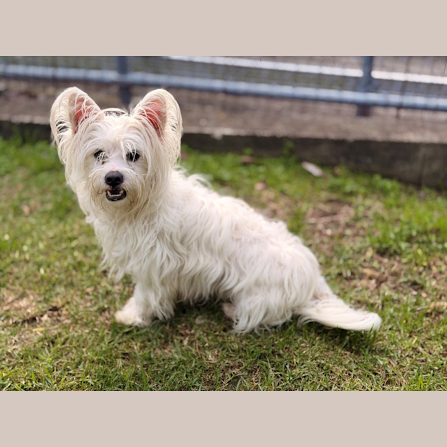 Photo of Reggie