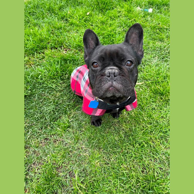 Photo of Uma
