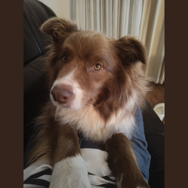 Photo of Mars Bar Slice