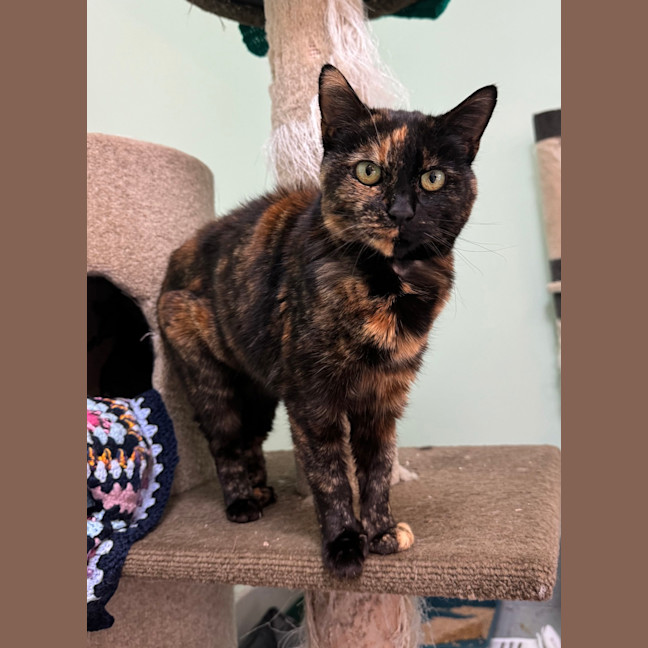 Photo of Minnie