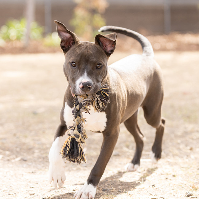 Photo of Athena