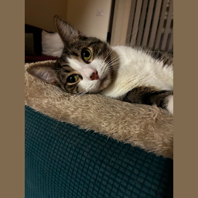 Photo of Zeus 