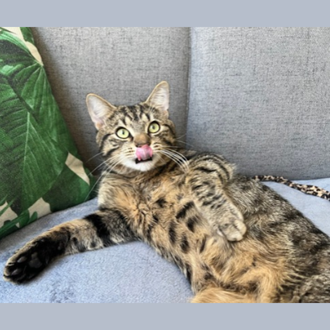 Photo of Max