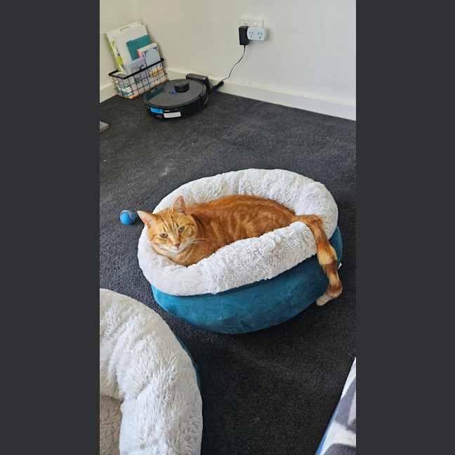 Photo of Zoe & Simba