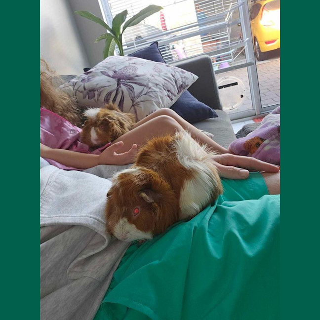Photo of Bear And Fluffy