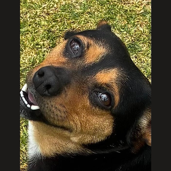 Photo of Kadie