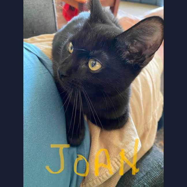 Photo of Joan