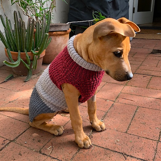 Photo of Penny