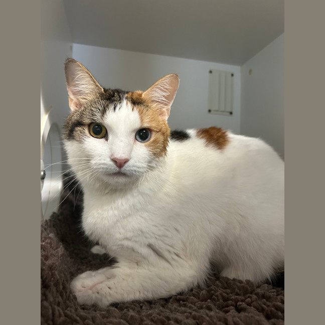 Photo of Zoe