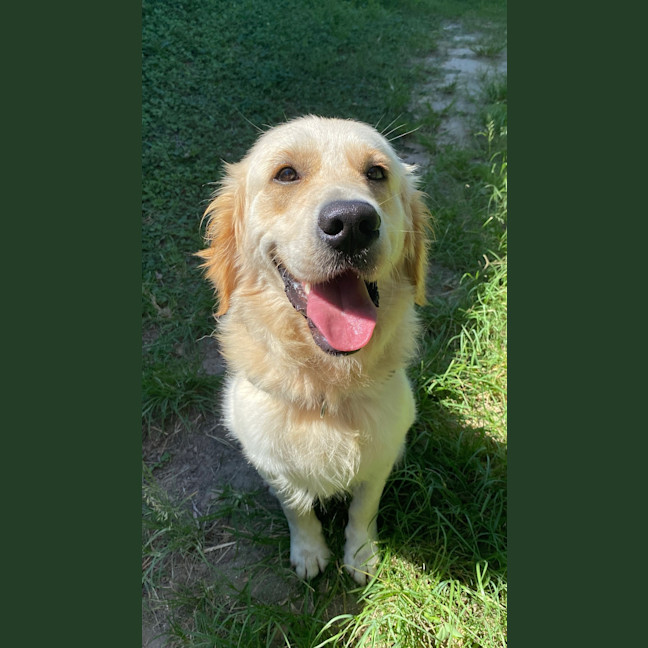 Photo of Willy