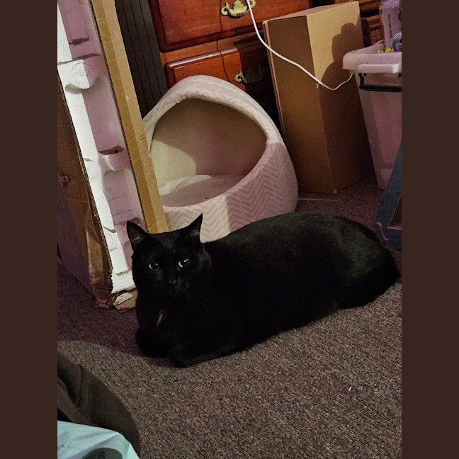 Photo of Soot