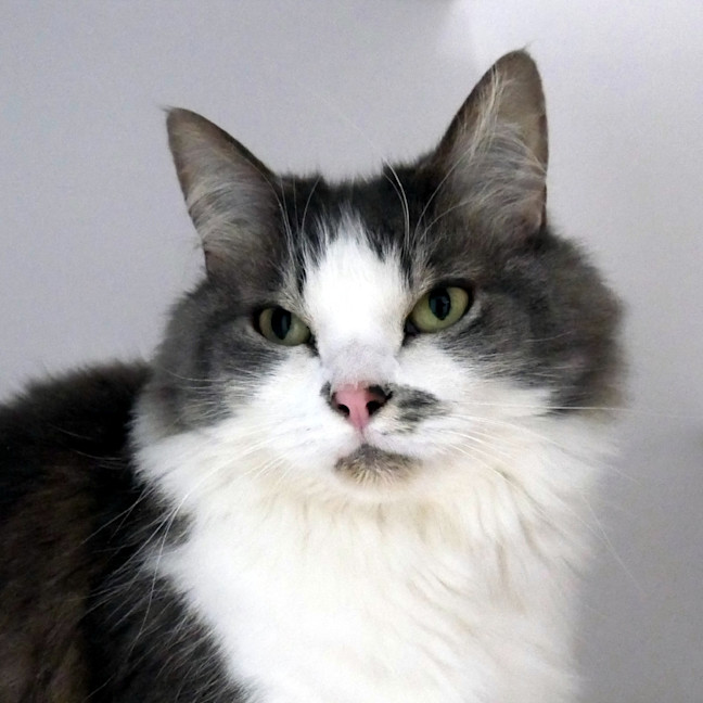 Photo of Jemma Sua014037