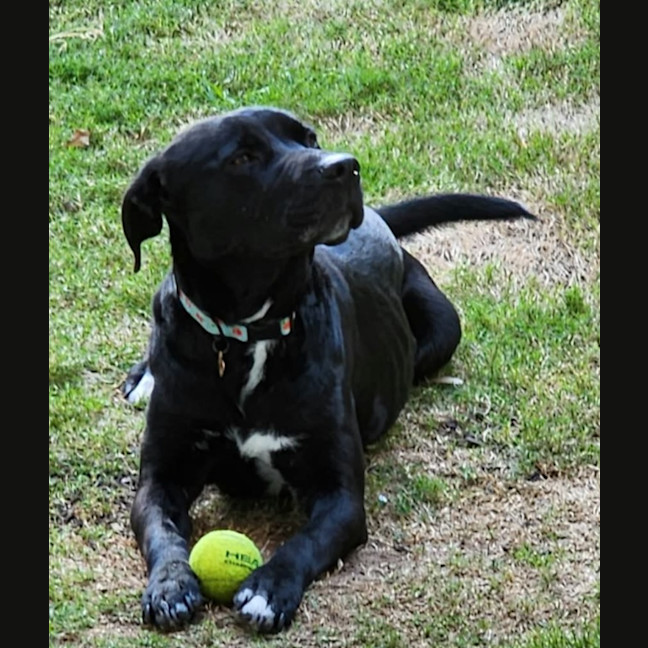 Photo of Missy