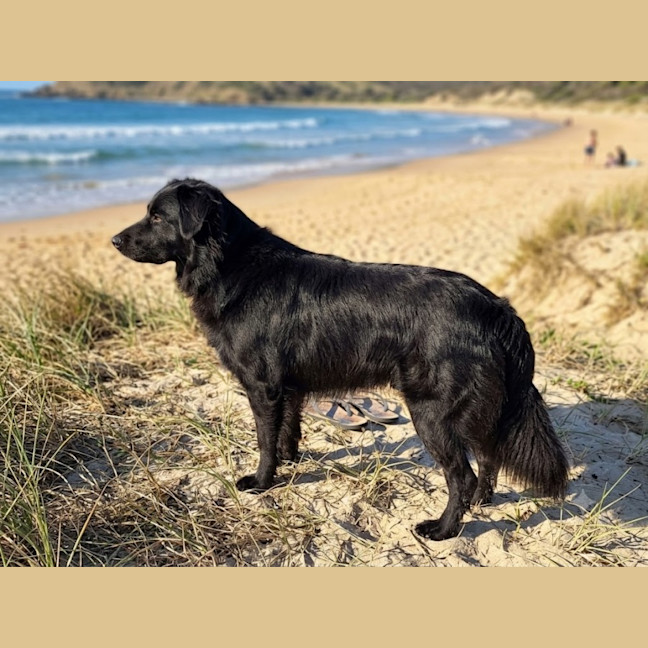 Photo of Dune