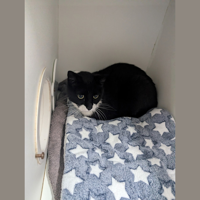 Photo of Postman Pat