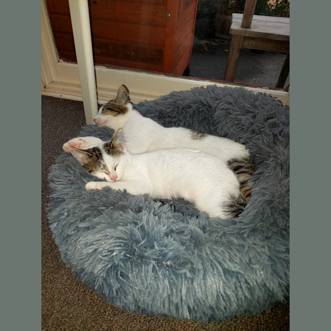 Photo of Richie 💙