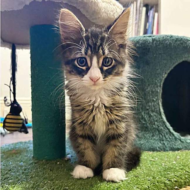 Photo of Maya And Lotti