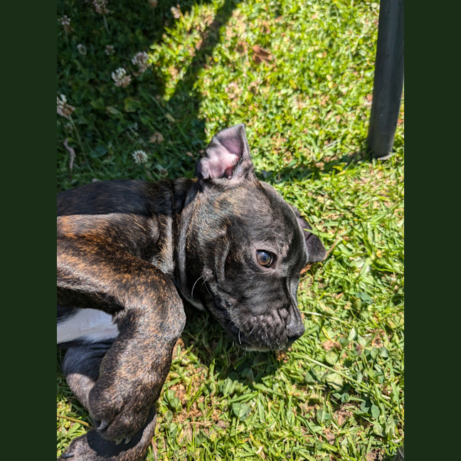 Photo of Richard (Arlo)