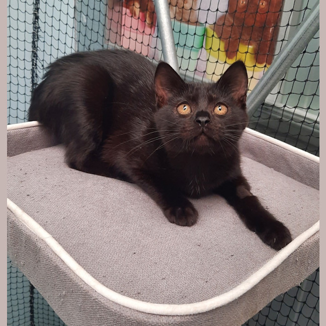 Photo of Tilly