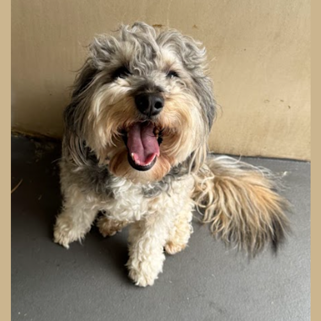 Photo of Bertie