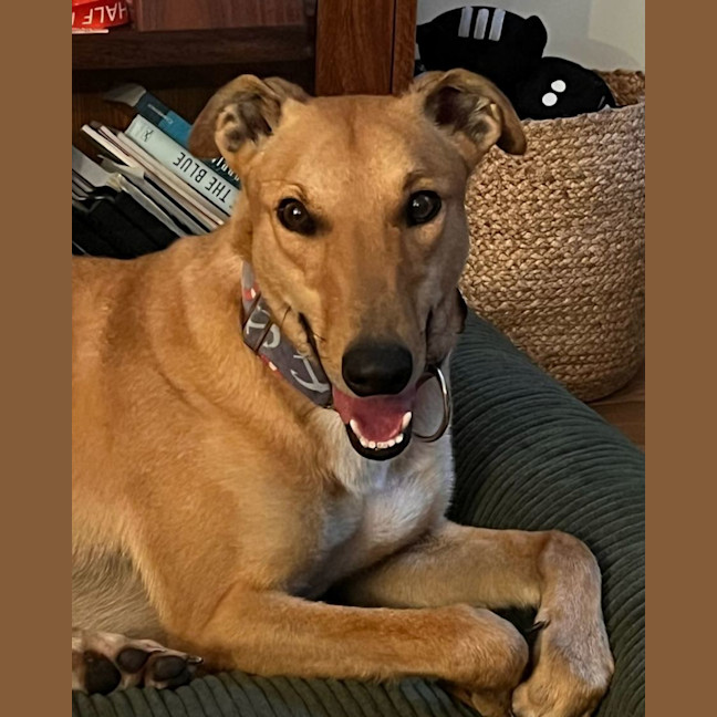 Photo of Stanley