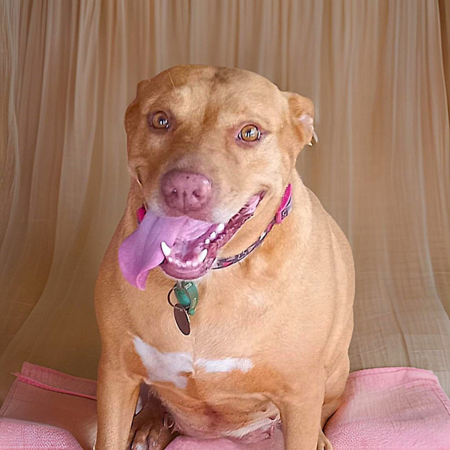 Photo of Pepper
