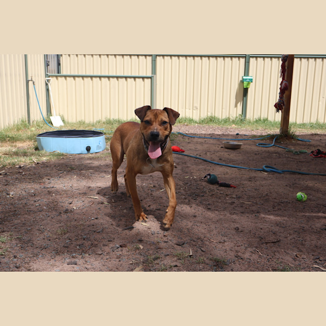 Photo of Tucker