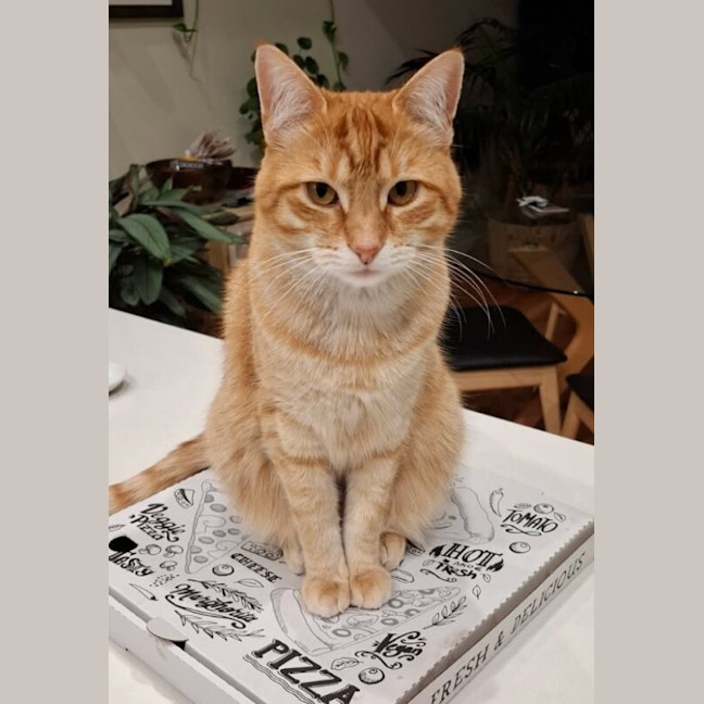 Photo of Rusty